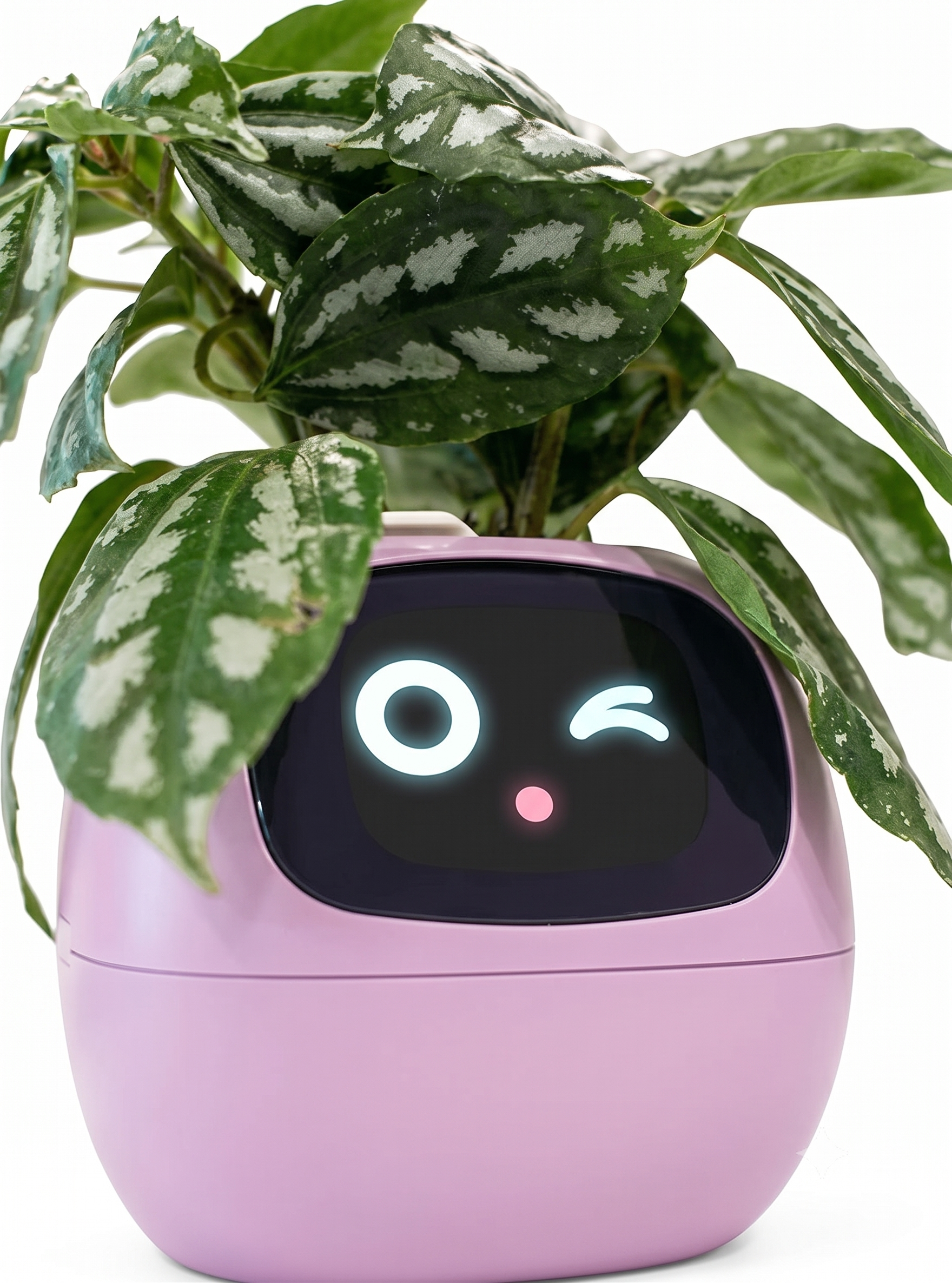 Vaso Intelligente NeoFlora – Smart Planter Interattivo per Piante